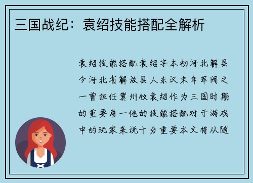 三国战纪：袁绍技能搭配全解析