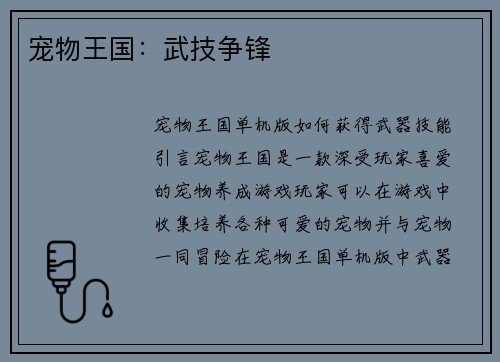 宠物王国：武技争锋